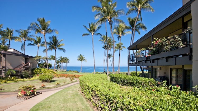 Beautiful landscaping leads to the ocean