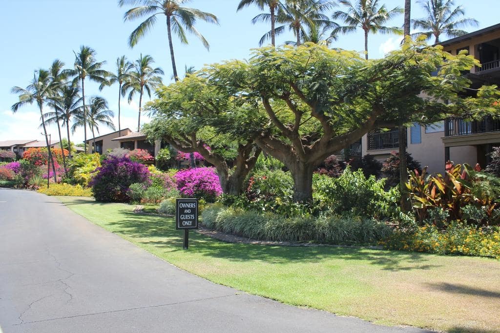 Tropical landscape on the grounds are well-maintained