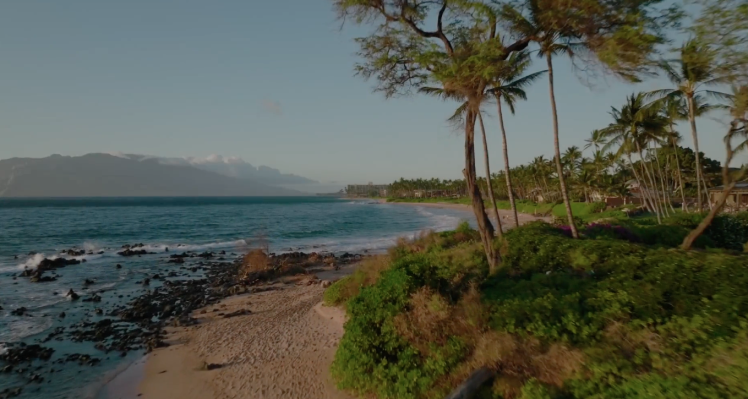 Maui Real Estate Wailea Homes for Sale for Buyers and Sellers in