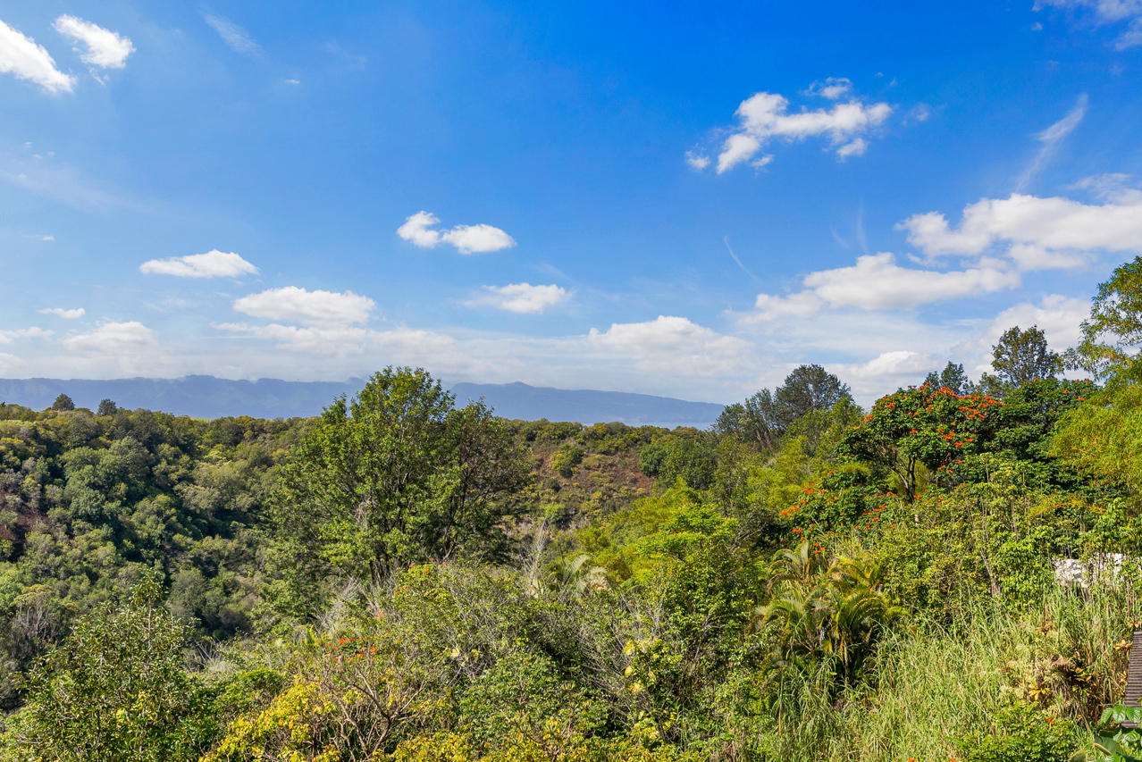 Ocean and Mountain Views: 