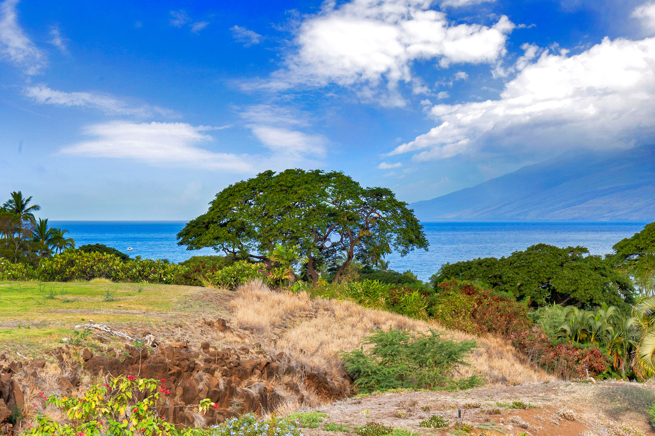 Breathtaking Ocean views: 