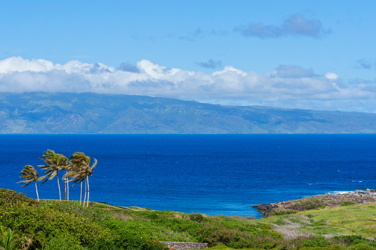 Prime Ocean views: 